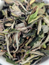 Load image into Gallery viewer, White Peony - Bai Mu Dan