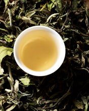 Load image into Gallery viewer, White Peony - Bai Mu Dan