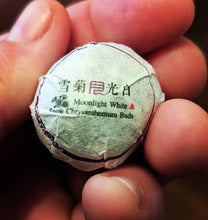 Load image into Gallery viewer, Moonlight Snow Chrysanthemum Dragon Balls