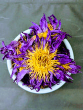 Load image into Gallery viewer, Blue Lotus Flower
