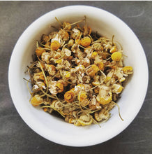 Load image into Gallery viewer, Nile River Egyptian Chamomile

